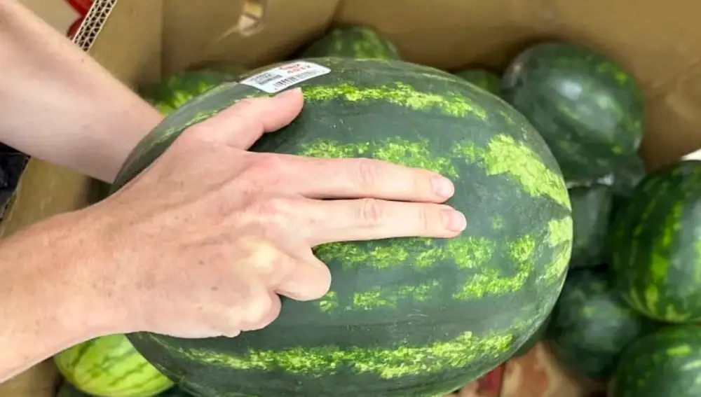 Regla de los dos dedos