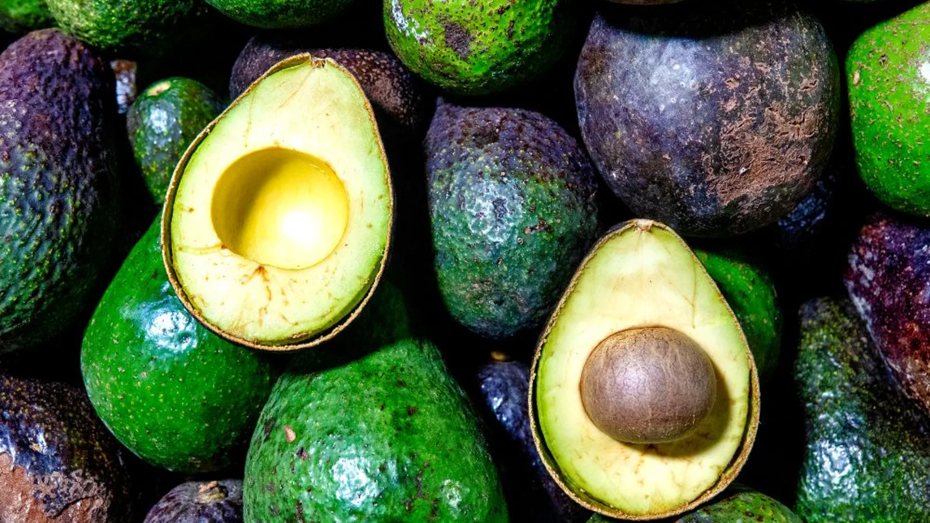 Aguacates hueso