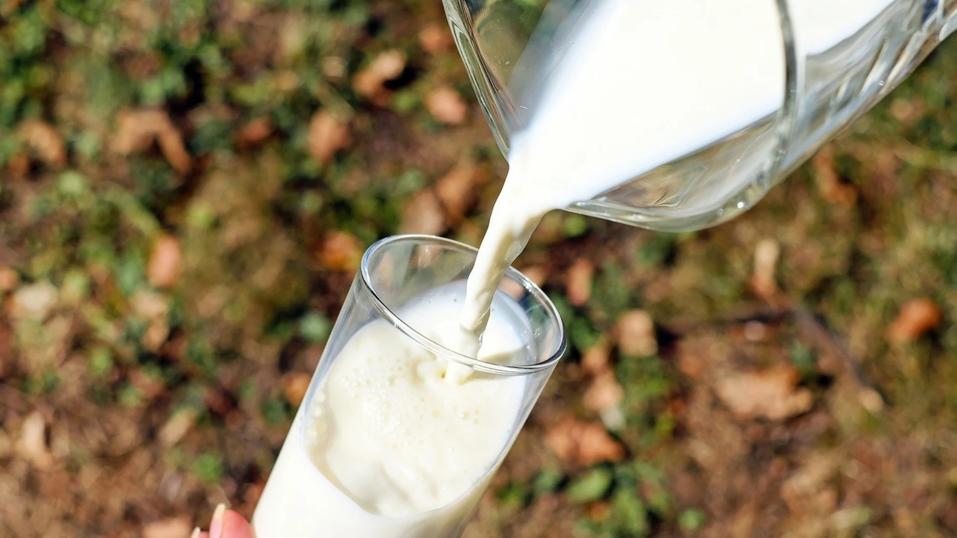 La mejor marca de leche de supermercado según la OCU: cuesta menos de un euro