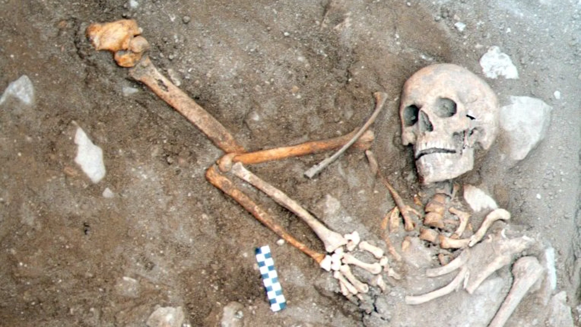 Tal día como hoy de 1195 dio comienzo la batalla de Alarcos, la última y más catastrófica derrota de los ejércitos cristianos ante los musulmanes