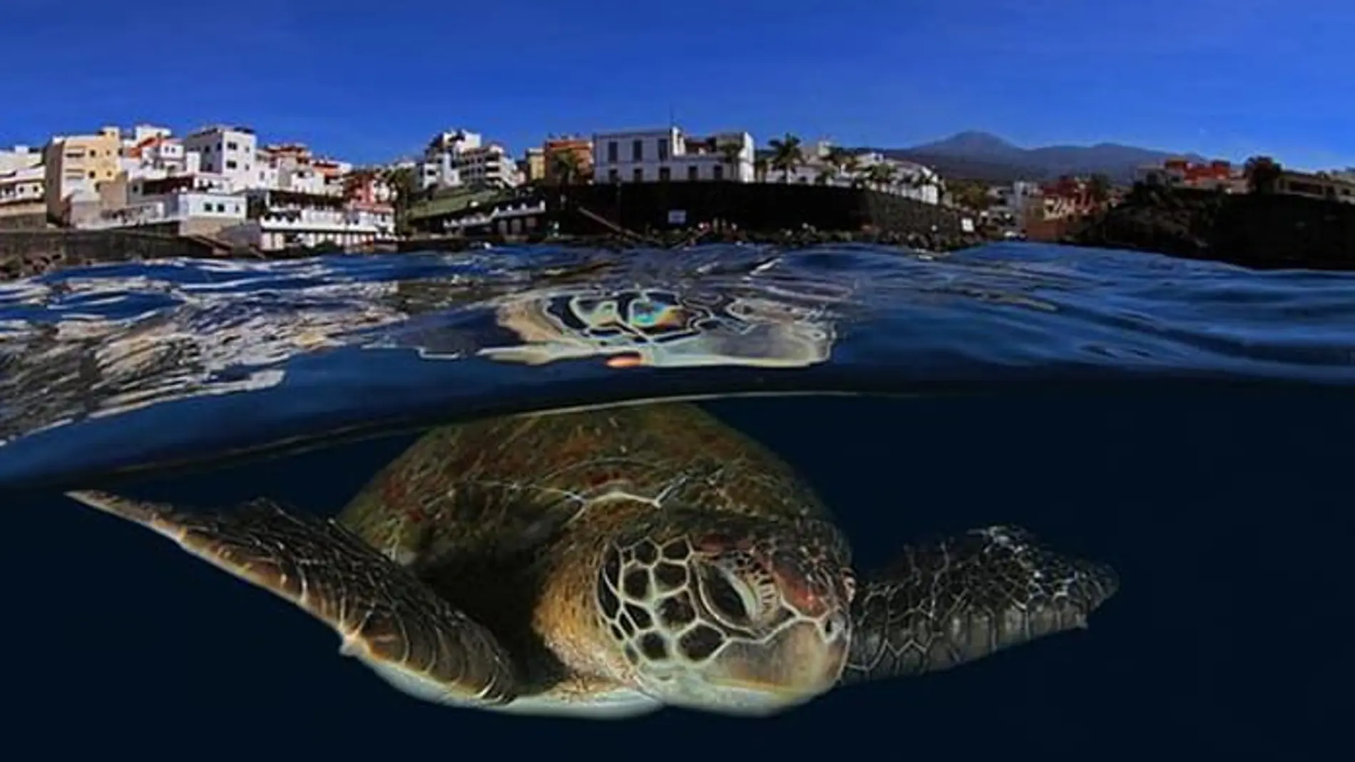Islas canarias