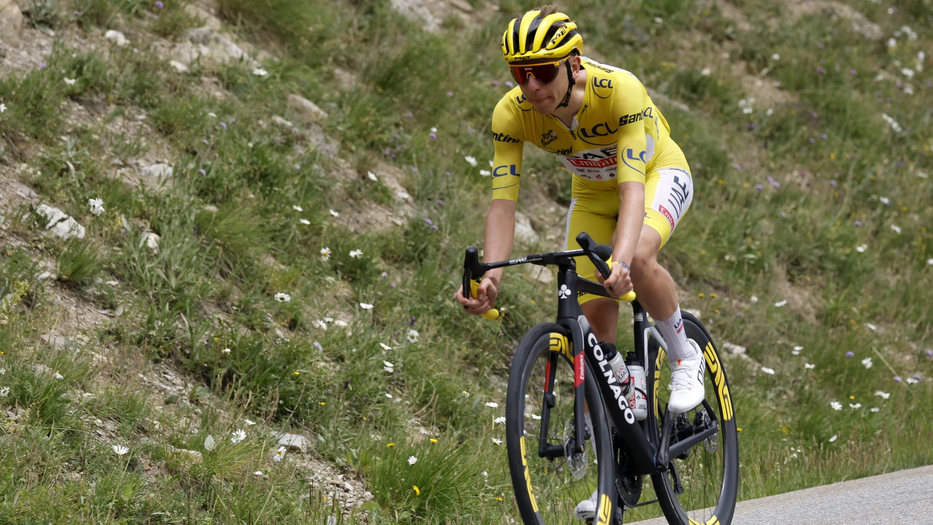 Embrun (France), 19/07/2024.- Yellow jersey Slovenian rider Tadej Pogacar of UAE Team Emirates in action during the 19th stage of the 2024 Tour de France cycling race over 144km from Embrun to Isola 2000, France, 19 July 2024. (Ciclismo, Francia, Eslovenia) EFE/EPA/SEBASTIEN NOGIER