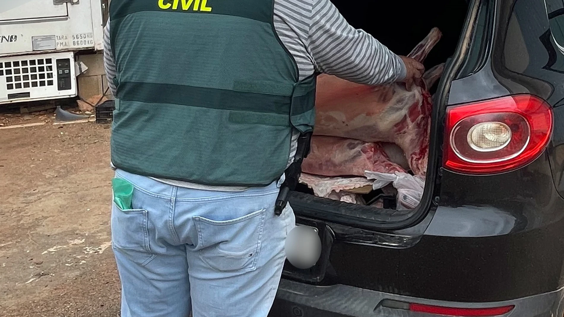 La Guardia Civil desmantela un grupo delictivo dedicado a la sustracción de ganado en el Campo de Cartagena