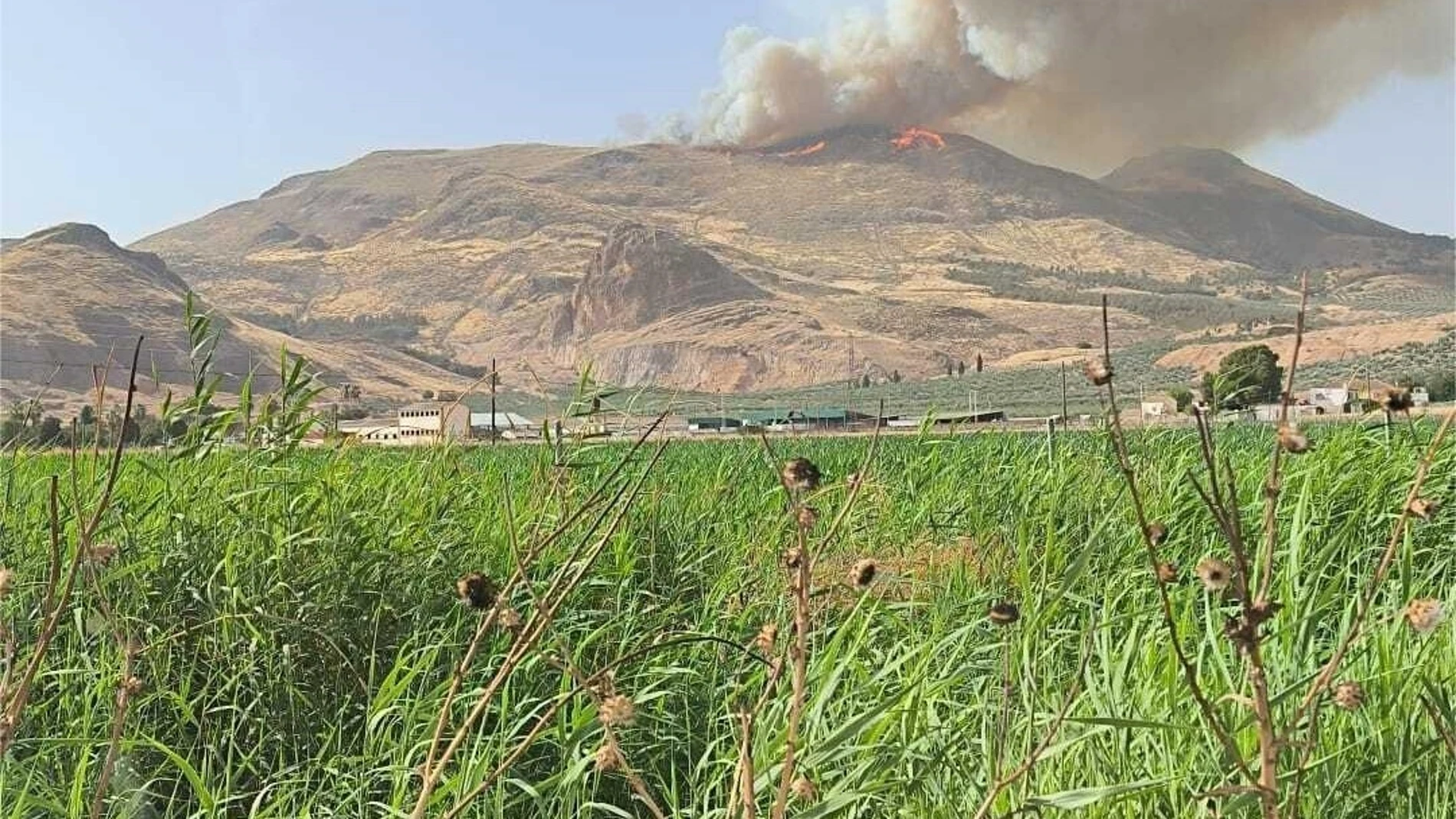 Incendio de Pinos Puente, en Granada