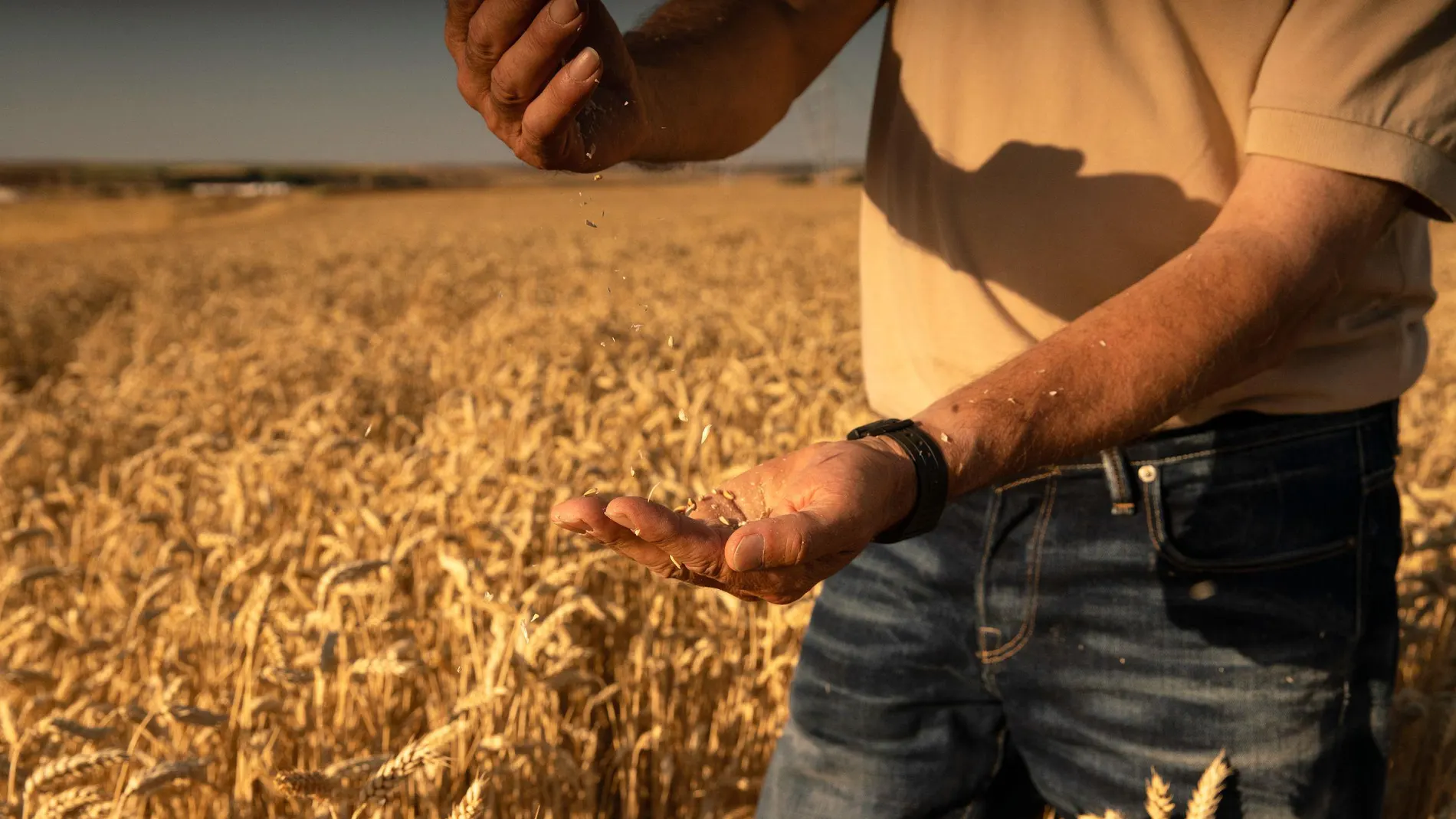 Agricultor de la provincia de Zamora