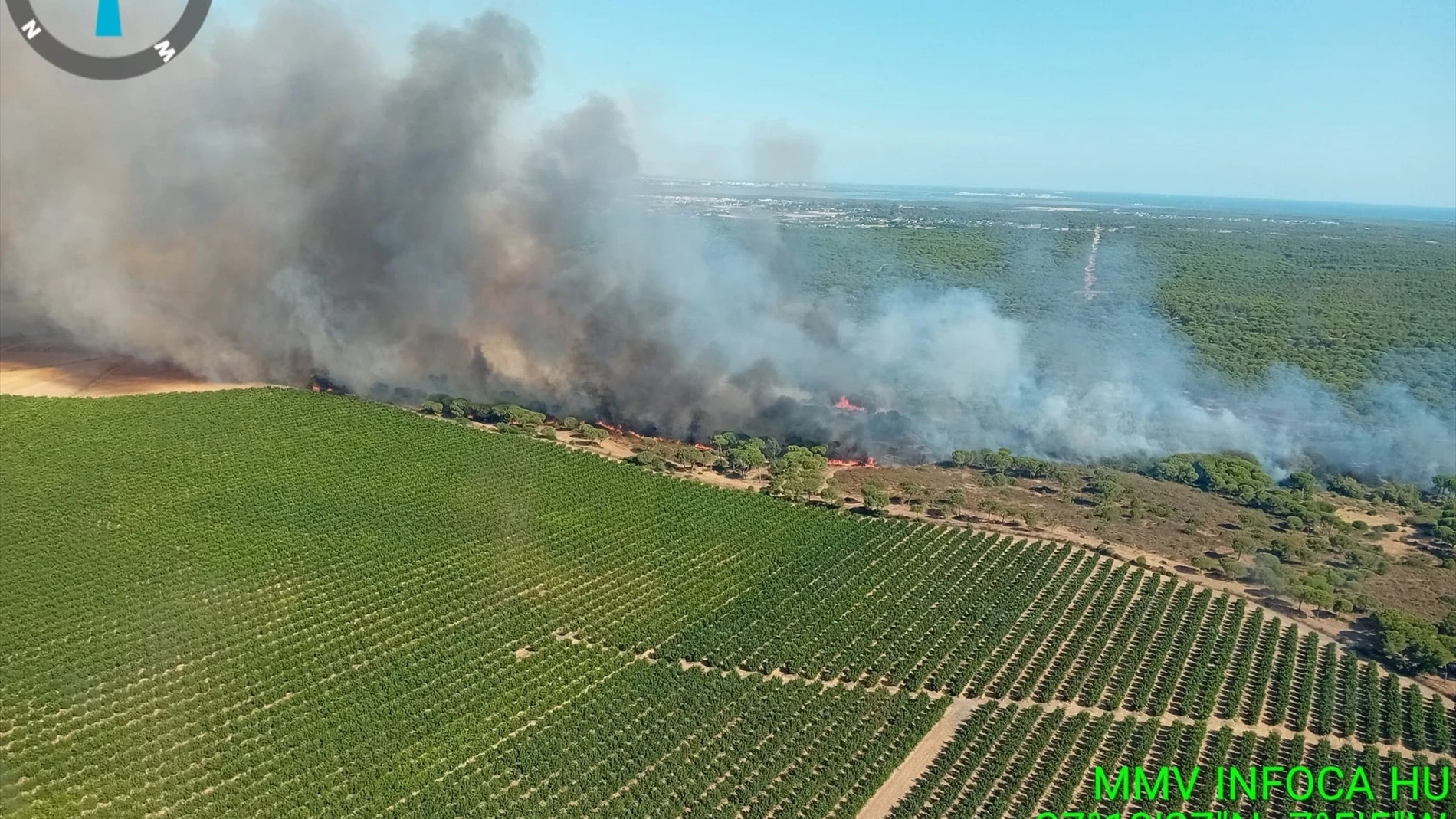 Incendio en la zona de los pinares de Cartaya, en Huelva