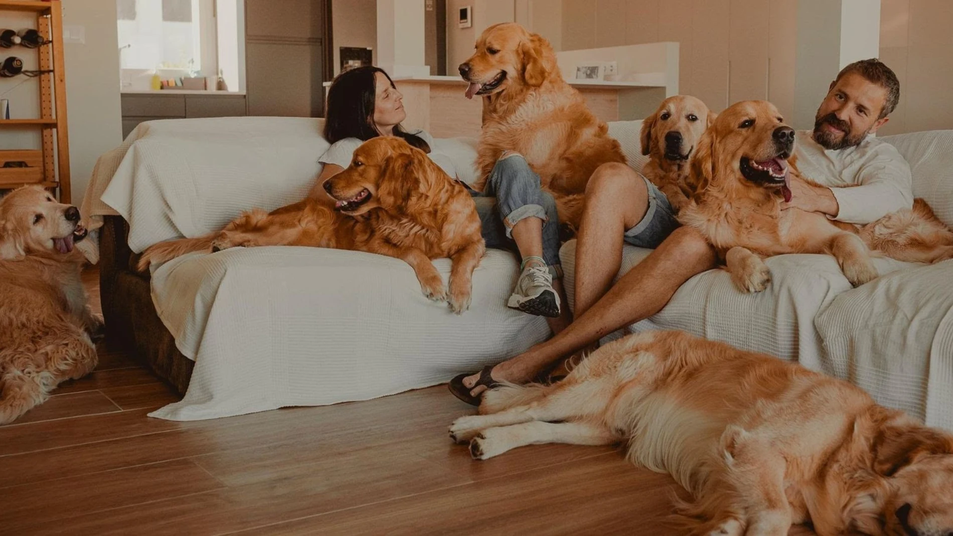 La Real Sociedad Canina pide al Gobierno extender las pruebas de salud de los perros a toda clase de criadores RSCE 24/07/2024