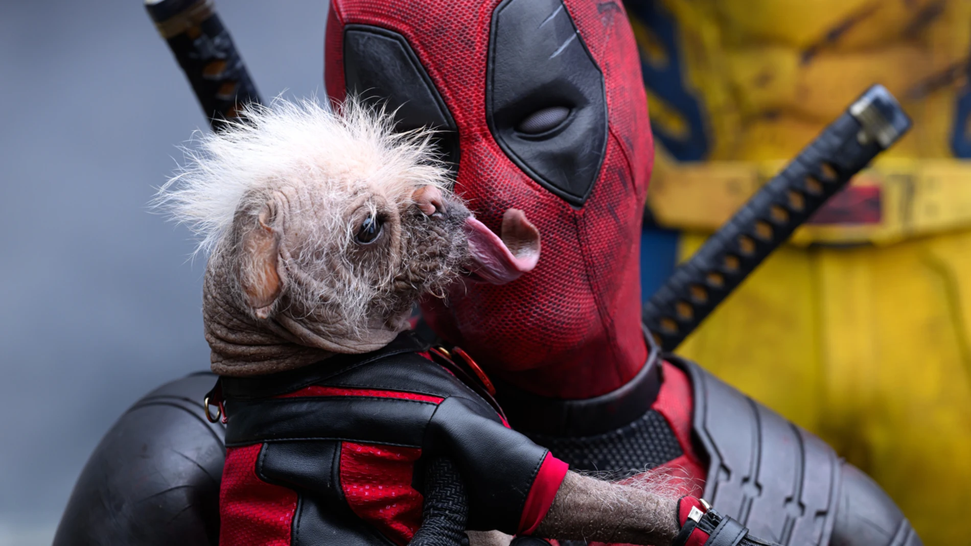 Deadpool, el mercenario bocazas, se estrena en el Universo Cinematográfico de Marvel
