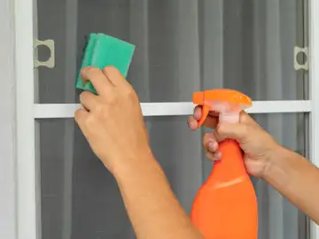 Limpieza de una mosquitera Limpieza de una mosquitera