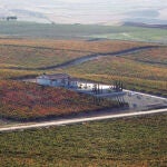 Vista general de la bodega y las viñas