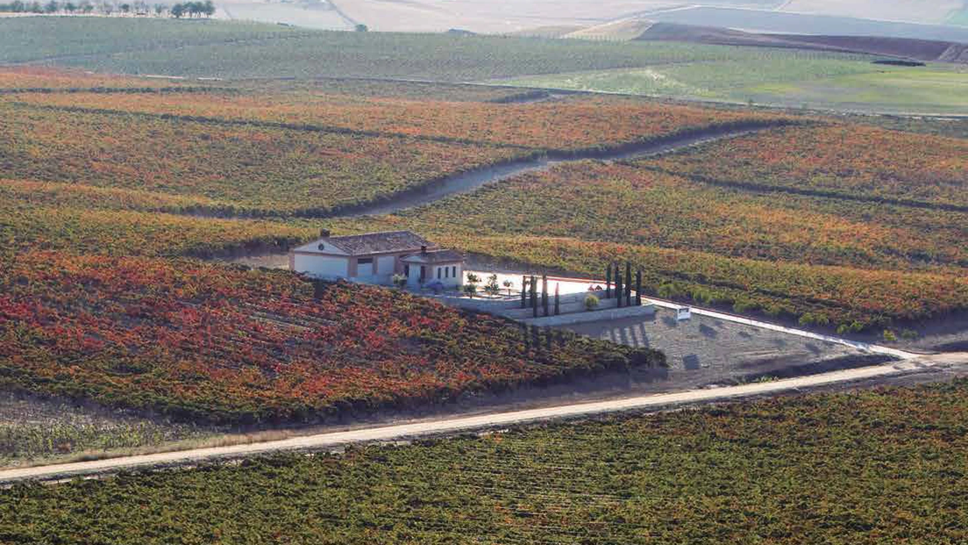 Vista general de la bodega y las viñas