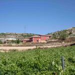 Bodega Cantovera