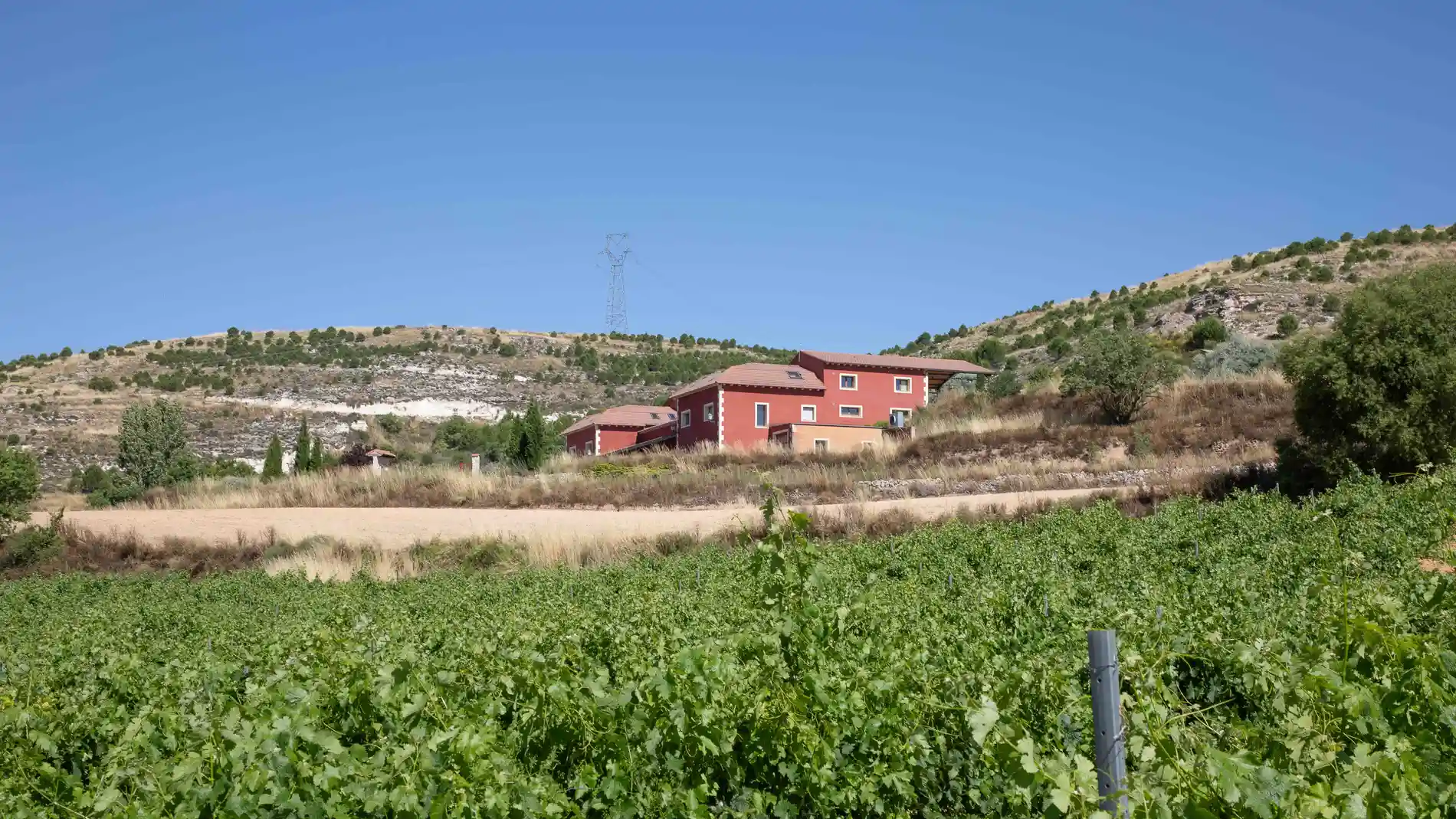 Bodega Cantovera