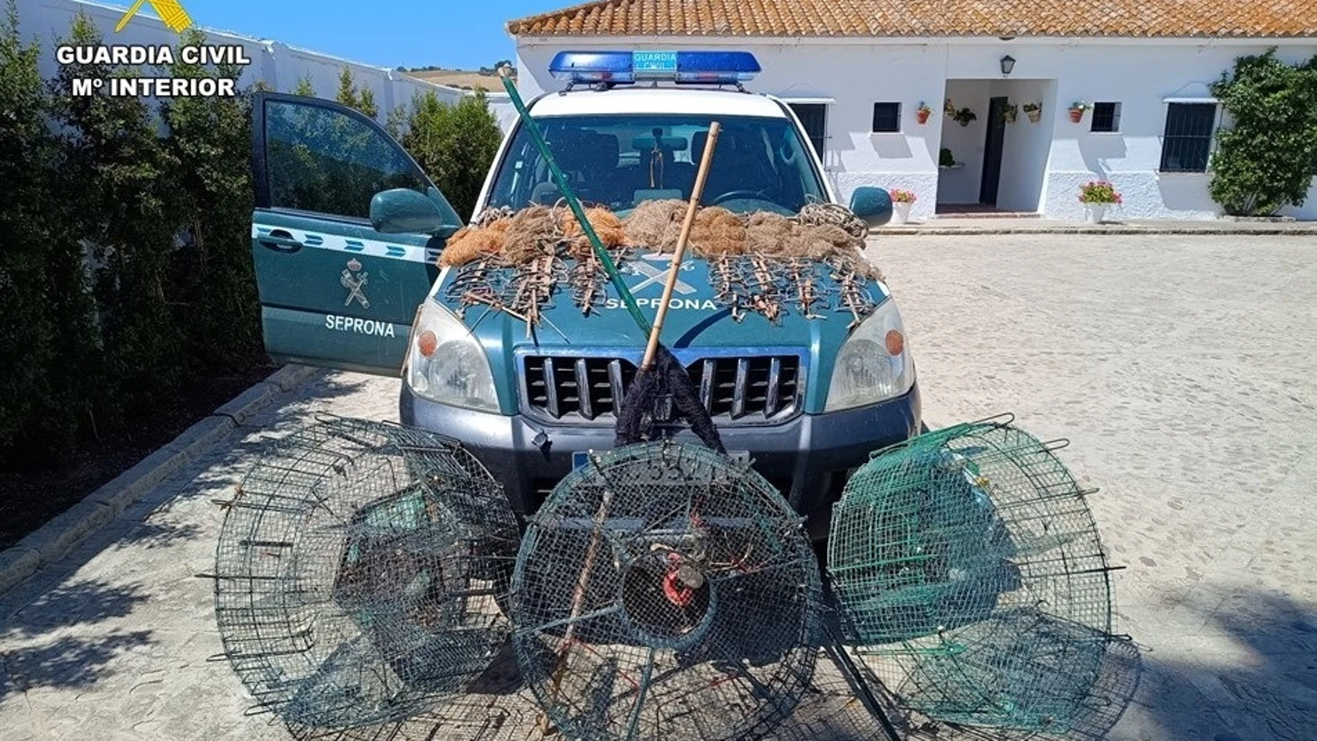 Artes para la captura ilegal de aves fringílidas intervenidas en Jerez