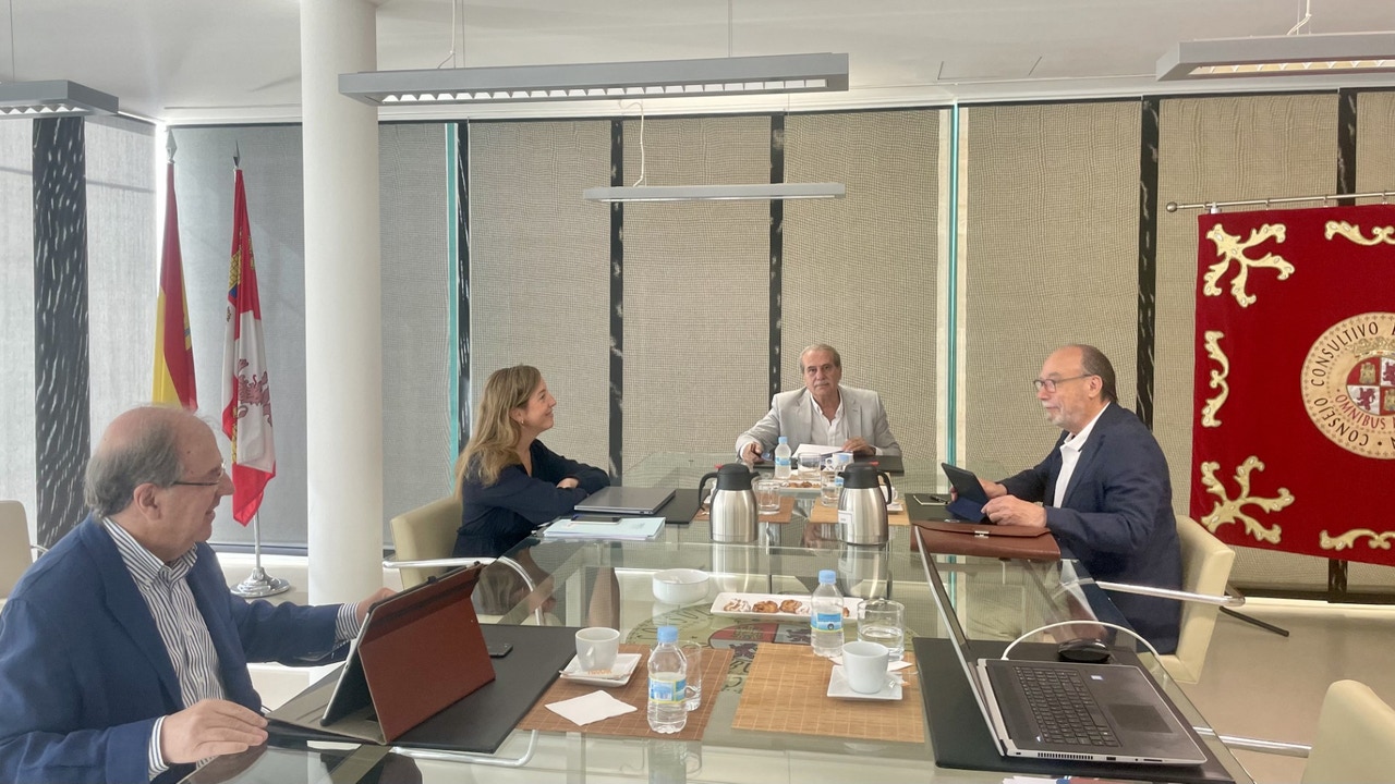 El Consejo Consultivo advierte sobre una posible inconstitucionalidad de cinco previsiones de la Ley autonómica de Publicidad Institucional