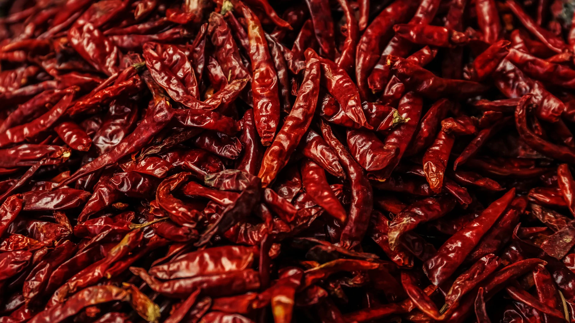 Retrasar el envejecimiento, bajar de peso o reducir el riesgo de sufrir cáncer son algunos de los beneficios que nos aporta este "superalimento"