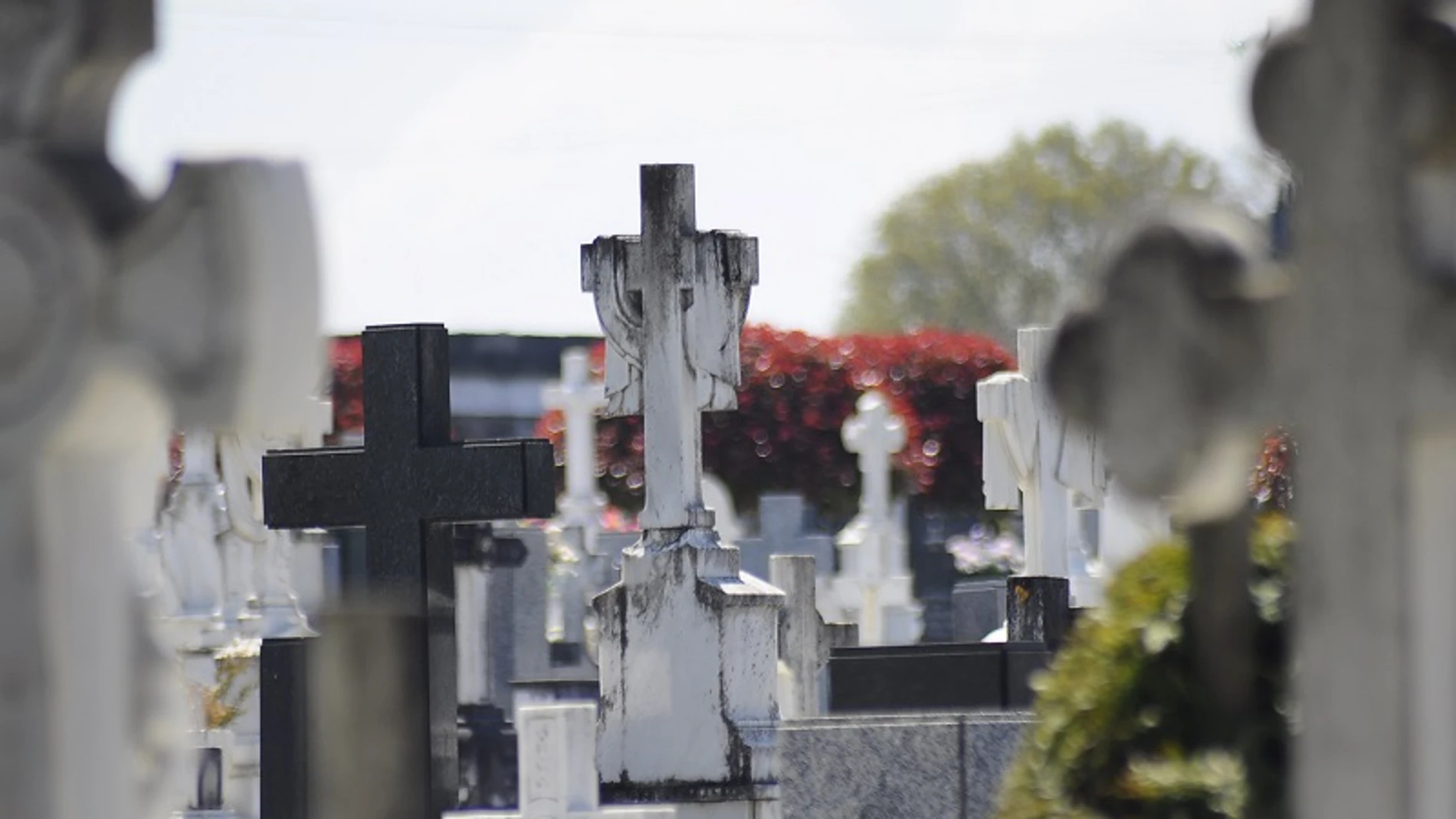 Se ubicará en una parcela anexa al cementerio de San Froilán.