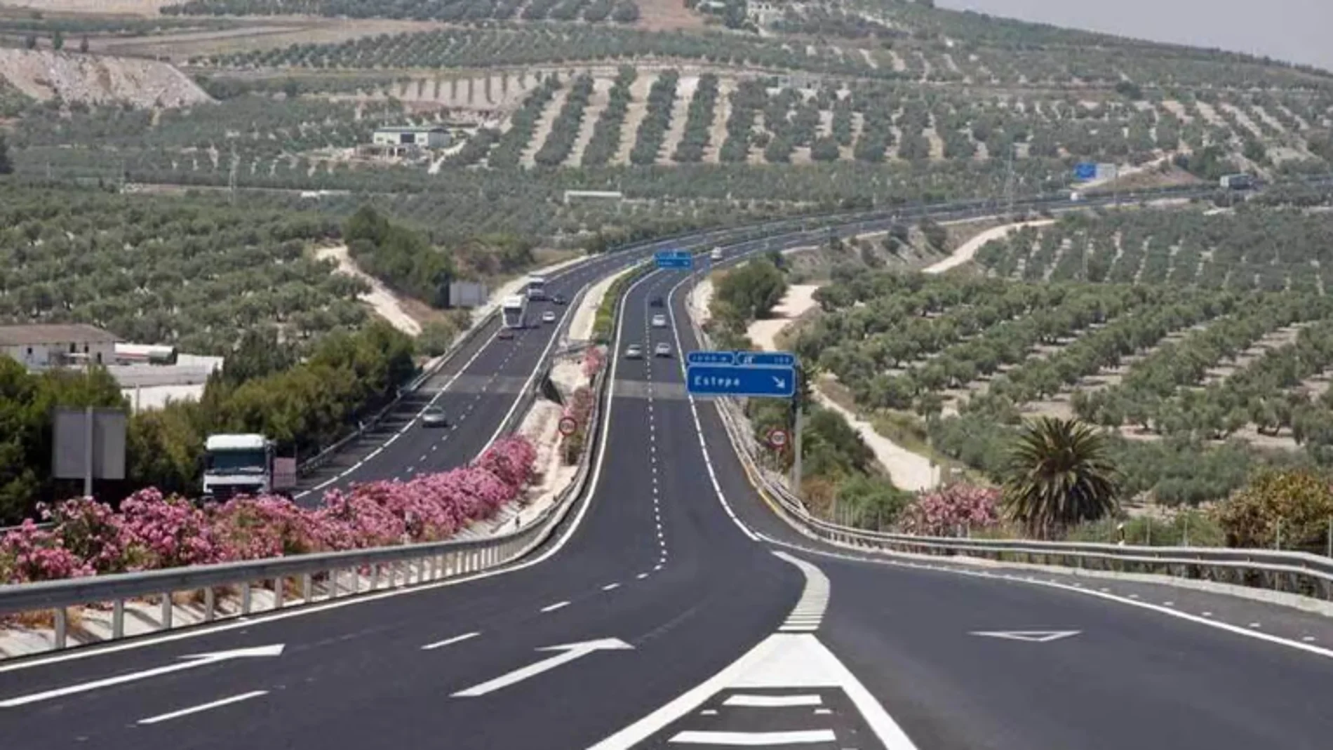 El desconocido motivo por el que se usan adelfas en las carreteras y autovías españolas