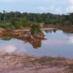 Miles de especies amenazadas por la minería para la energía limpia