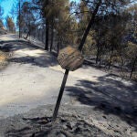 El fuego obligó a desalojar íntegramente Penáguila (Alicante)