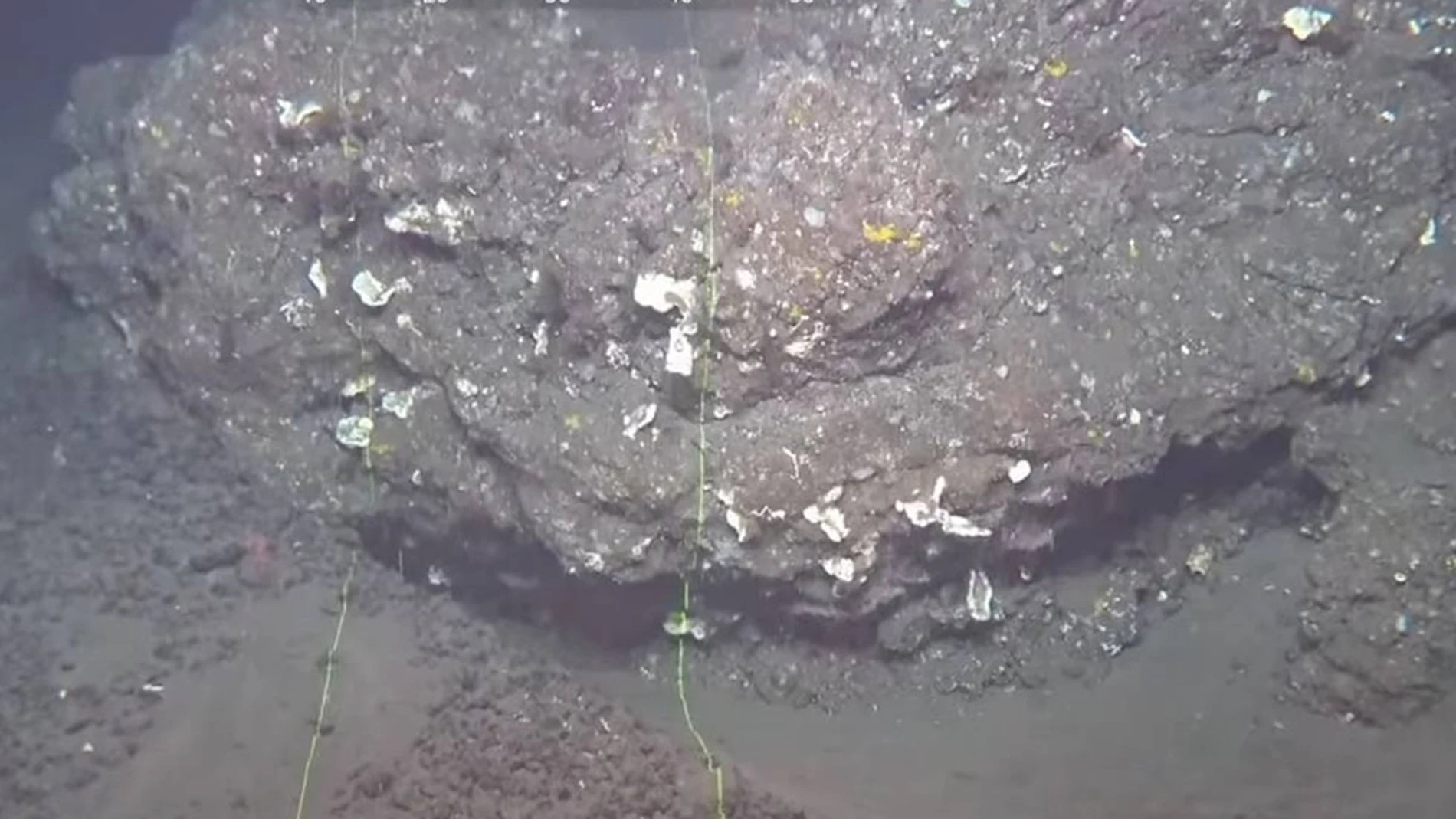 Tres nuevos volcanes revelan secretos de las profundidades de Canarias