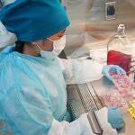 Pruebas en un laboratorio para detectar virus y bacterias peligrosos en una caja de laboratorio especial. Laboratorio especializado para trabajar con patógenos, virus y bacterias y desarrollar diversas vacunas.