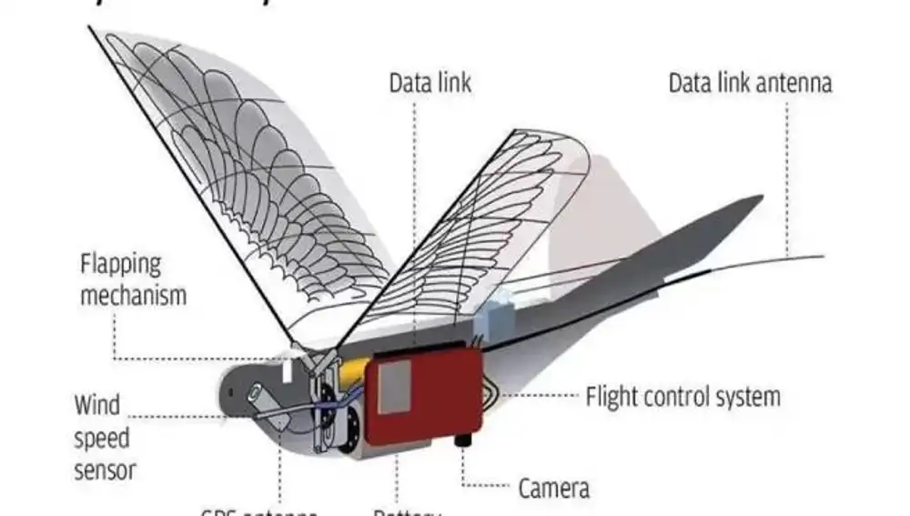 Esquema del dron biomimético del Ejército Popular de Liberación de China.