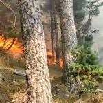 El incendio de El Hornillo, en Ávila, parece intencionado según la Junta
