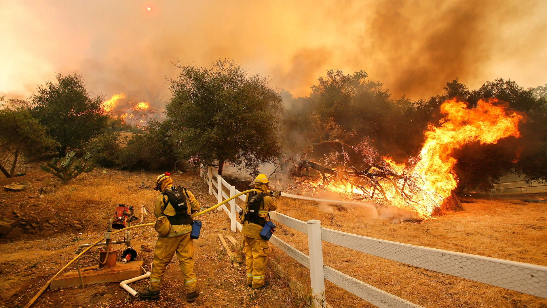 Bomberos de Stockton, California, apagaron las llamas en Hidden Valley Rd. mientras combatían un incendio forestal el viernes 3 de mayo de 2013 en Hidden Valley, California.
