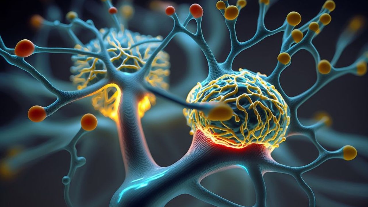El fin de la vida biológica está cerca: crean una neurona que rompe las barreras entre la tecnología y la biología