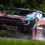 Raptor