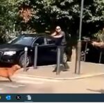 Un momento del ataque y la respuesta de los agentes