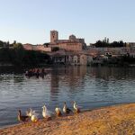 Aguas del Duero a su paso por Zamora