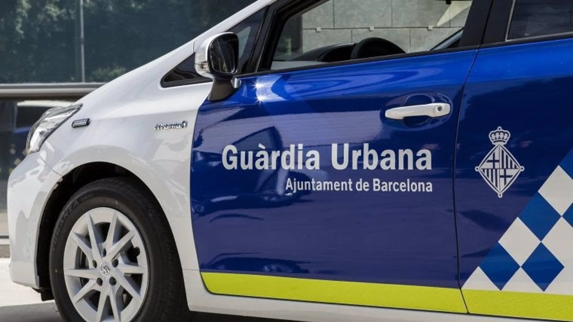Desarticulan en Barcelona un grupo que enviaba droga a Europa por correo postal, con ocho detenidos