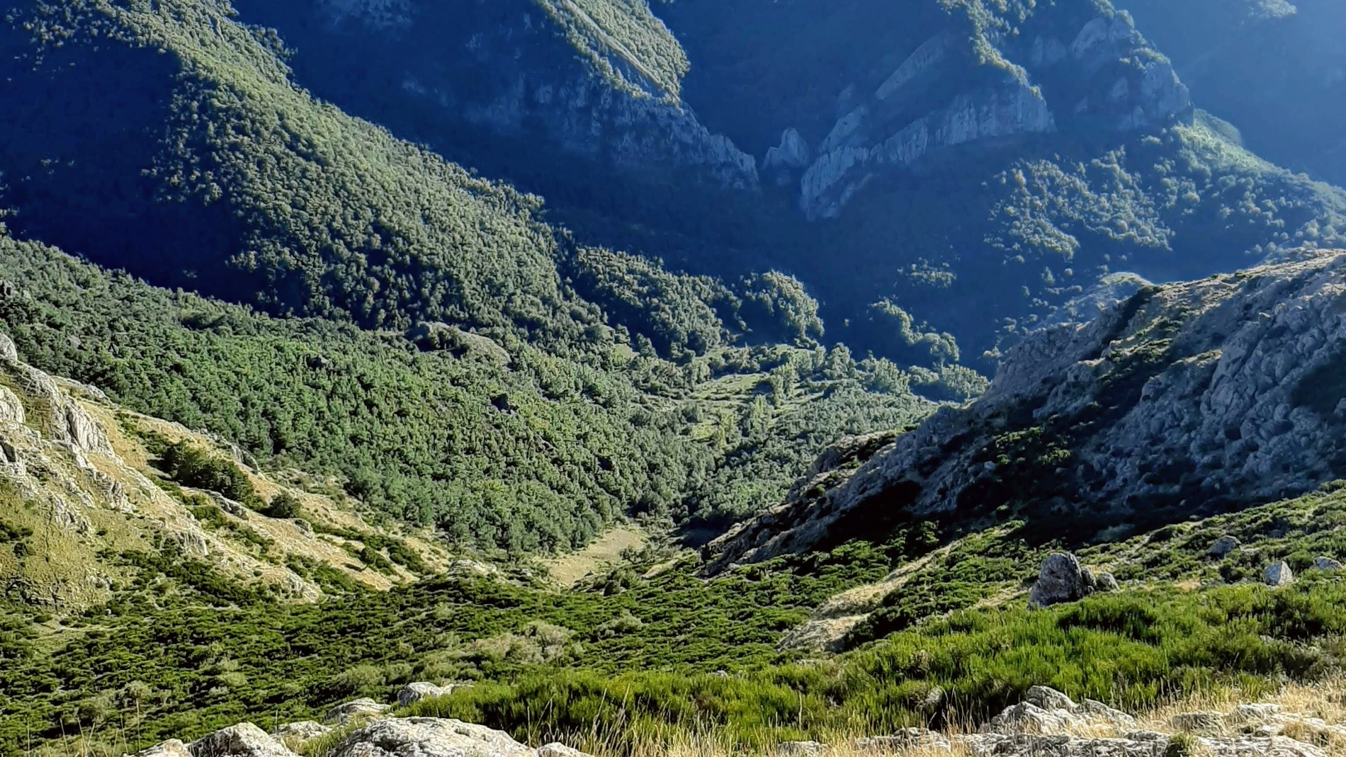 Un paisaje de vacaciones