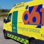 Heridas cuatro personas, dos de ellas graves, en un accidente de tráfico en Alosno (Huelva)