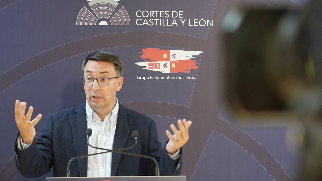 El PSOE defiende un mayor compromiso con la Educación pública y la investigación científica