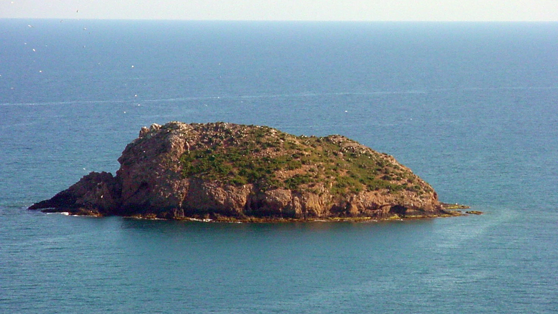 Isla Negra e Isla de Terreros: un Monumento Natural en Almería con una biodiversidad impresionante