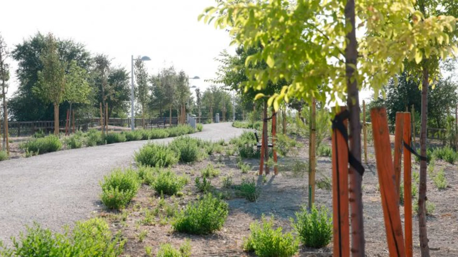 Madrid transforma las zonas verdes en el barrio de El Cañaveral