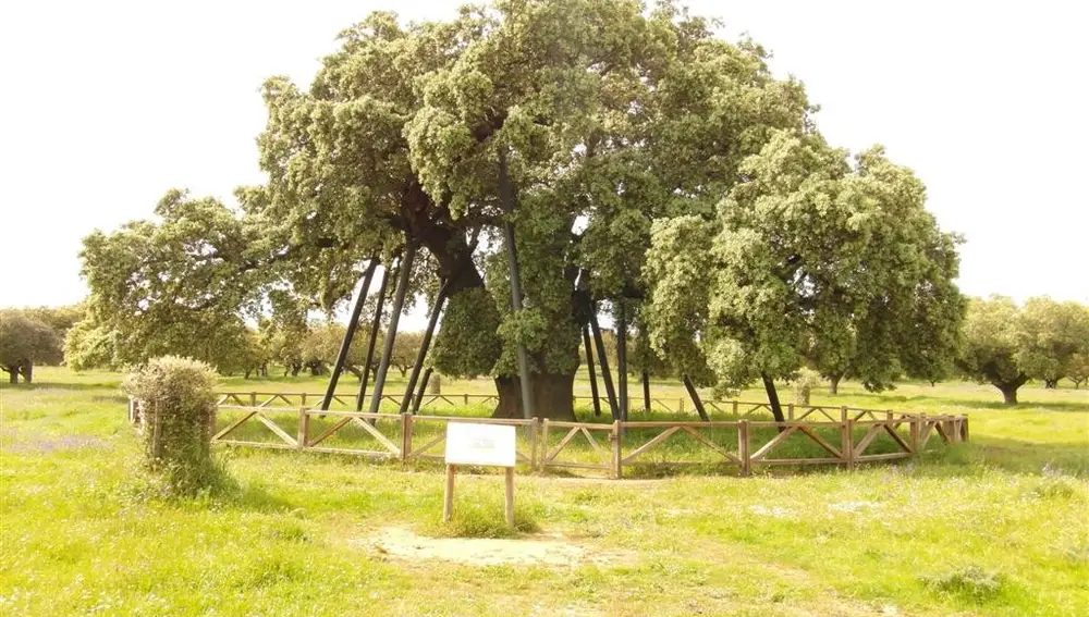 Ruta La Terrona