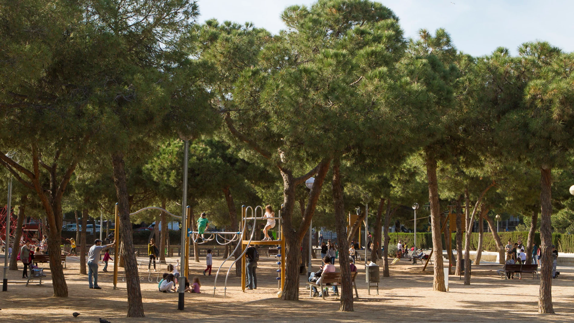 Vecinos del Parc Joan Miró protestan contra la inminente tala de árboles por las obras de la L8