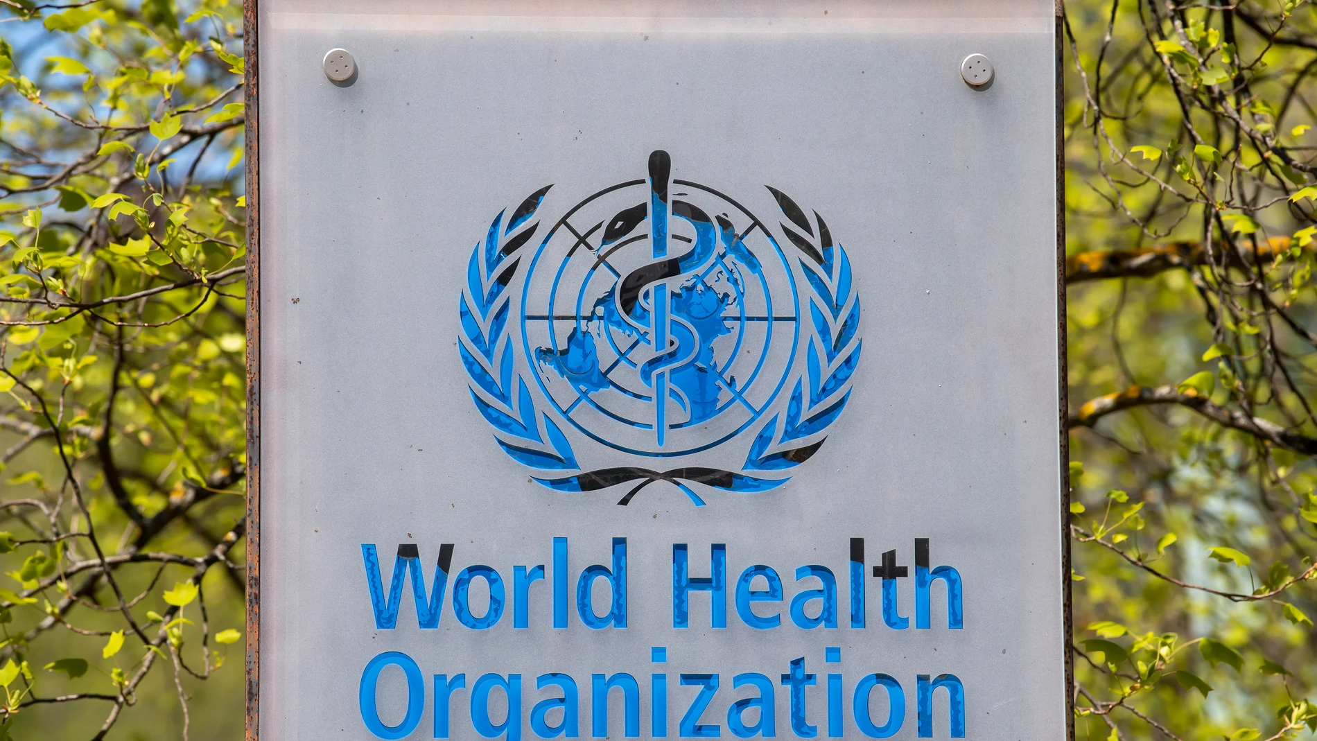 FILE - The World Health Organization signage is seen outside its headquarters in Geneva, Switzerland, April 15, 2020. (Martial Trezzini/Keystone via AP, File)