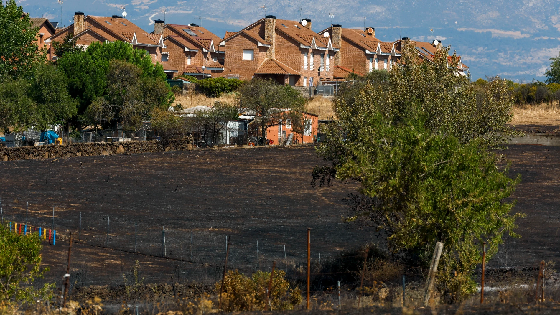 -FOTODELDÍA- EL MOLAR- PEDREZUELA (MADRID), 06/08/2024.- Vista general de la superficie afectada por el incendio en los términos municipales de El Molar y Pedrezuela. Los Bomberos de la Comunidad de Madrid continúan este martes los trabajos de extinción y remate de los puntos calientes del interior del perímetro del incendio declarado este lunes entre las localidades de El Molar y Pedrezuela, que ha obligado a desalojar a algunos vecinos y a confinar a los del segundo municipio. EFE/ J.J.Guil...