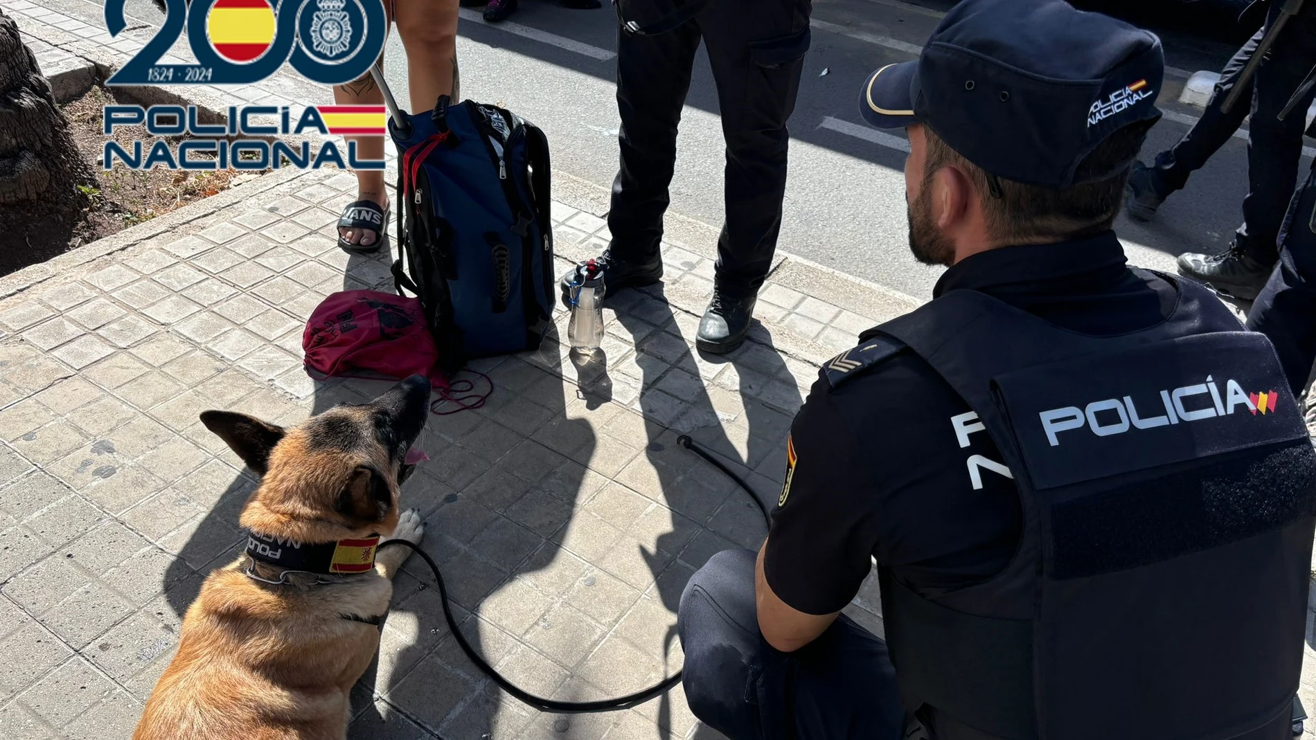 La Policía Nacional detiene a 21 personas por tráfico de drogas tras el registro de dos autobuses que se dirigían a un festival de música electrónica