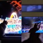 Los gatos se han convertido en protagonistas virales en estos Juegos Olímpicos