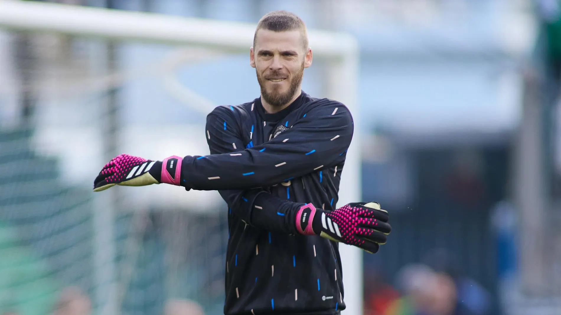 MADRID.-El portero madrileño David de Gea jugará en la Fiorentina italiana