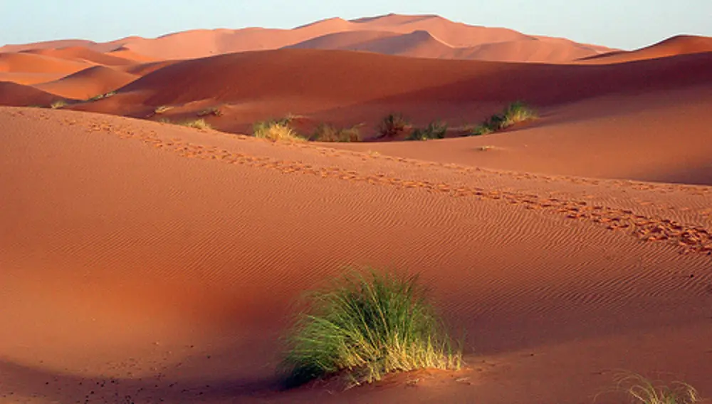 Desierto africano, destino ideal de Lolita
