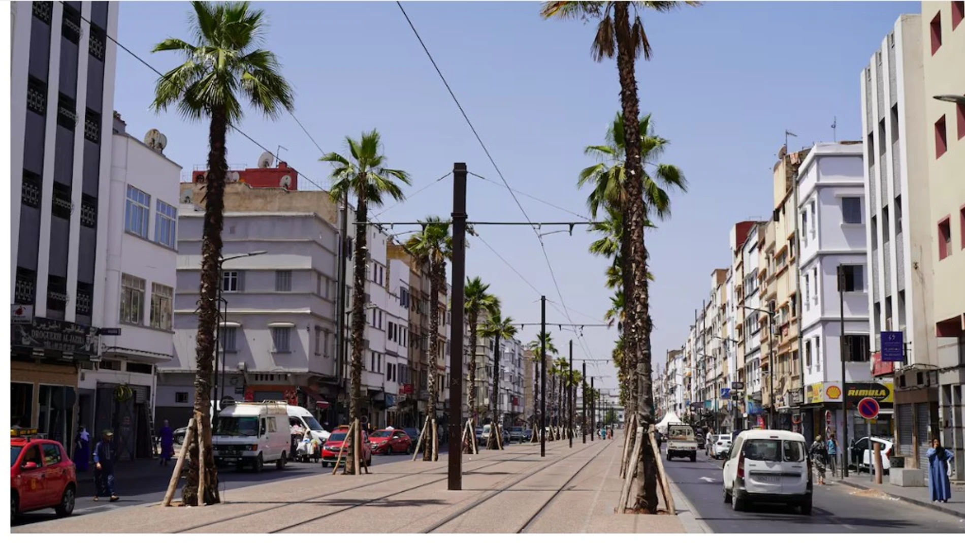 Palmeras en una calle de Casablanca