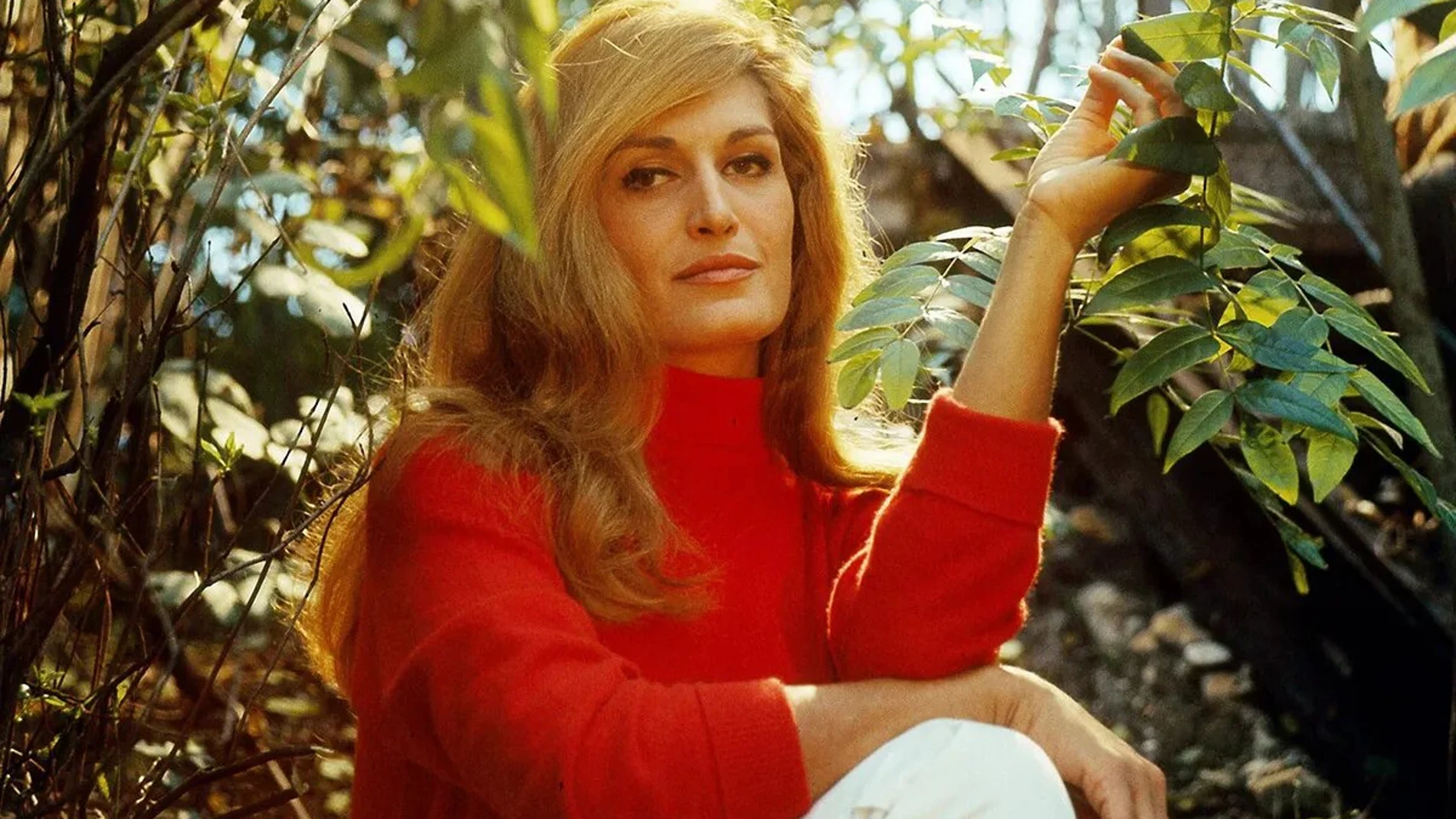 Dalida: estrella del pop francés asaeteada por el dolor