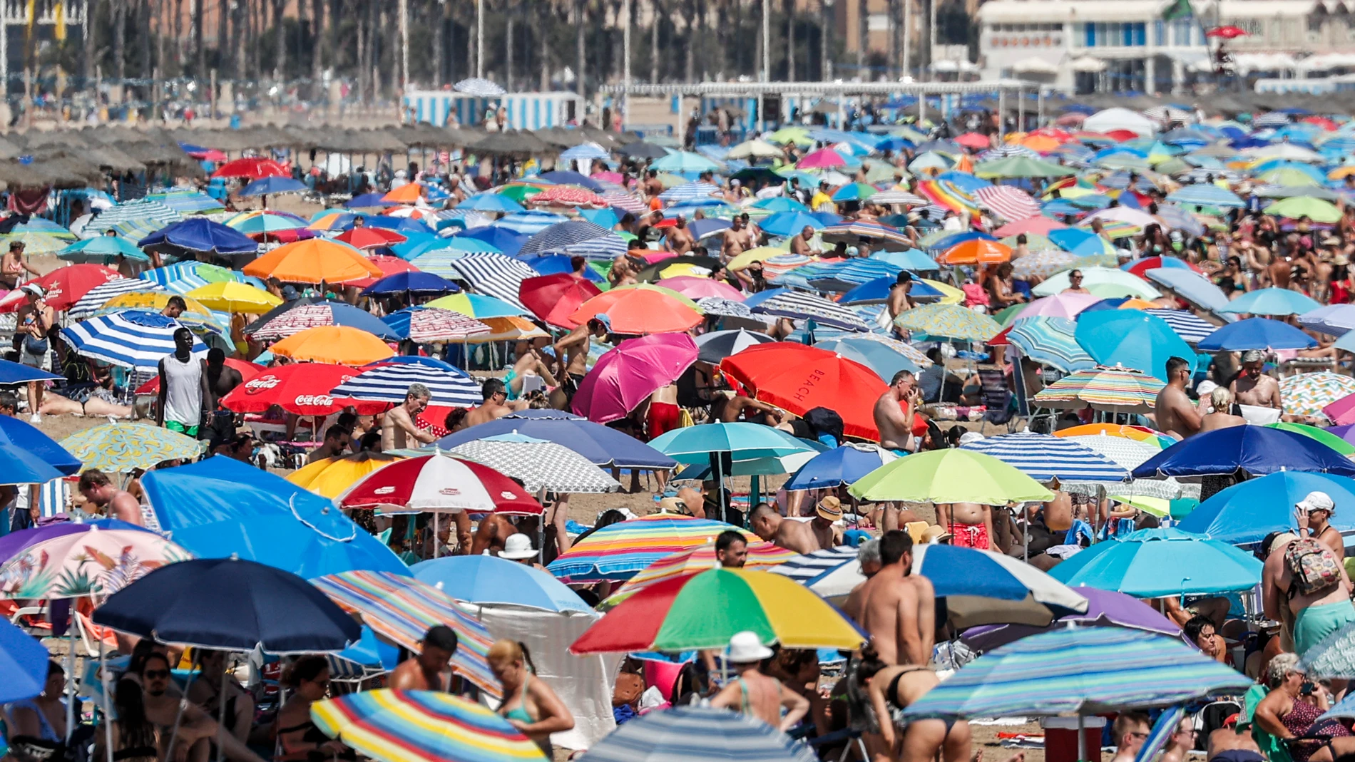 -FOTODELDÍA- . VALENCIA, 11/08/2024.- Miles de bañistas disfrutan este domingo de agosto del sol y el mar en las playas de Las Arenas y la Malvarrosa de València. EFE/Manuel Bruque
